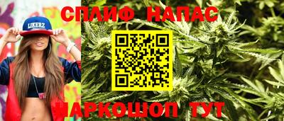 тгк Новодвинск