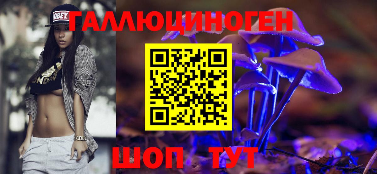 Томск  Псилоцибиновые грибы Psilocybe  Вход с VPN 